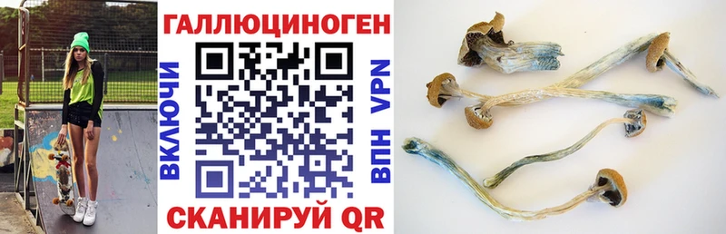 Галлюциногенные грибы GOLDEN TEACHER  где купить наркотик  маркетплейс клад  Суворов 